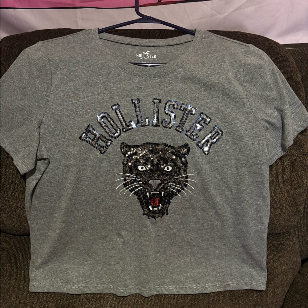 Hollister crop top type shirt.